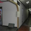 월영동로 이미지