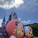 오월드1 | [대전 오월드 후기 1편] 사파리 버스 &amp; 주랜드 동물 친구들과 하루 종일 탐험기 🐯🐘🐒+꿀팁 포함