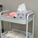 고려LPG충전소 | 대구 수성구 동물병원 노견 강아지 건강검진 24시 케어동물의료센터