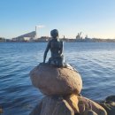 삼계로얄작은도서관 | 덴마크 [코펜하겐] ③ 인어공주 조각상, 덴마크 왕립 도서관, 로얄 코펜하겐 본점 방문