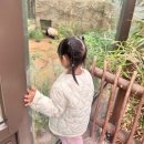 (44개월,5살아이랑)평일 유치원 땡땡이치고 에버랜드 판다월드 힐링 후기