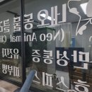 네오 동물병원 이미지