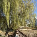 연못4길 51-2, (문화동) | 충주 호암지 카페,힐링 스팟