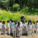 성산 유아숲체험원 이미지