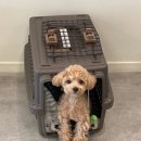 순독살롱 이미지