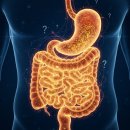 주식회사 뉴트로 이미지