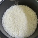 6293 | 쿠첸 더 핏 슬림 전기압력밥솥 6인용 내돈내산 후기