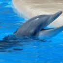 이세한의원 이미지