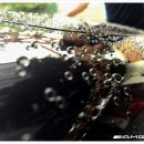 감성디테일링 이미지