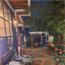 청주고양이입양지원센터 애니멀공화국 이미지