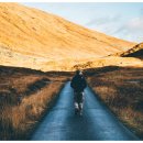 모아 행정사사무소 이미지