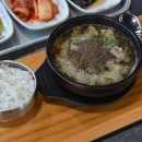 서파장어랜드 이미지