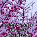 햇살커피
