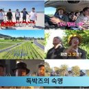 독박즈의 숙명 김준호 묻고 더블로 국민의소리 이미지