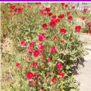 금강온천 이미지