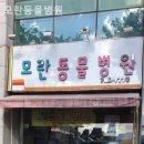 모란동물병원 이미지