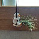 충식농장 이미지