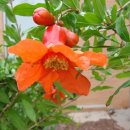 공주문예회관대공연장 이미지