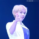 강새이 Daum카페
