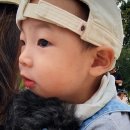 출장펫쌀롱 빙구네 이미지