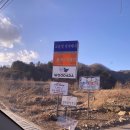 우다다애견 이미지