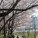 양산부산정형외과연구회 | 유아 팔꿈치 골절 성장판 핀 고정술 소아정형외과 양부대 수술후기