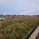 함경1990 이미지