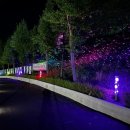 의성종합운동장 이미지