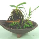 세원세탁소 이미지