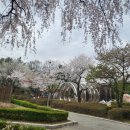 정다운매점 - 목포시 영산로 710-11 | 정다운매점