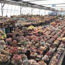 신내농장 이미지