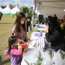 세종전의묘목협동조합 이미지