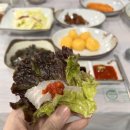 일월횟집 | [ 강원 속초 ] 일월횟집 - 호텔에서 픽업 서비스 내돈내산 대게세트 속초맛집 추천 대게+모듬회 후기