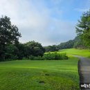 화랑디자인 | ⛳ 8월의 화랑CC 라운딩 후기｜저렴한 그린피 vs 긴 대기, 아쉬움 남은 하루