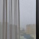 세븐일레븐 밸류호텔점 | 제주 서귀포 호텔 더엠 가성비 좋은 숙소 솔직후기