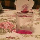 신춘세탁 이미지