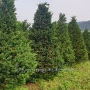 근원농장 이미지