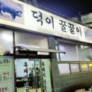 덕이꿀꿀이 이미지