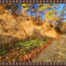 외딴농장 이미지