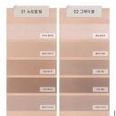 11545-03-23-02 | 롬앤 미피 콜라보 실물 발색 후기 추천 블러셔 틴트 쉐이딩 쿠션 립 크레용 브러쉬 (여쿨라)