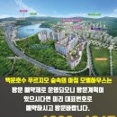 숲속의아침 이미지