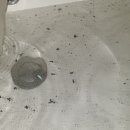 수송동로 이미지