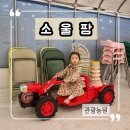 A팜 | 광주 체험 키즈카페 소울팜 후기