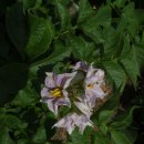 백산농장 이미지