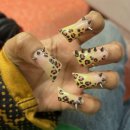 11545-11-08-26 | 我在重庆 🍜🥢🇨🇳 08~11/01/26