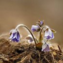 사진만들기 이미지