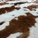 수선과 세탁 이미지