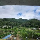 지토농장 이미지