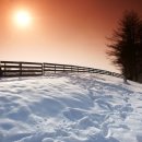 양떼목장 이미지