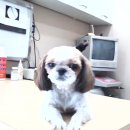 가좌종합동물병원 이미지